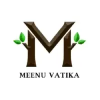 Client Testimonial